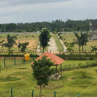 Green Valley 02