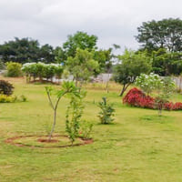 Green Valley 04