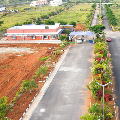 Green Valley 06