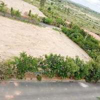 Green Valley 10